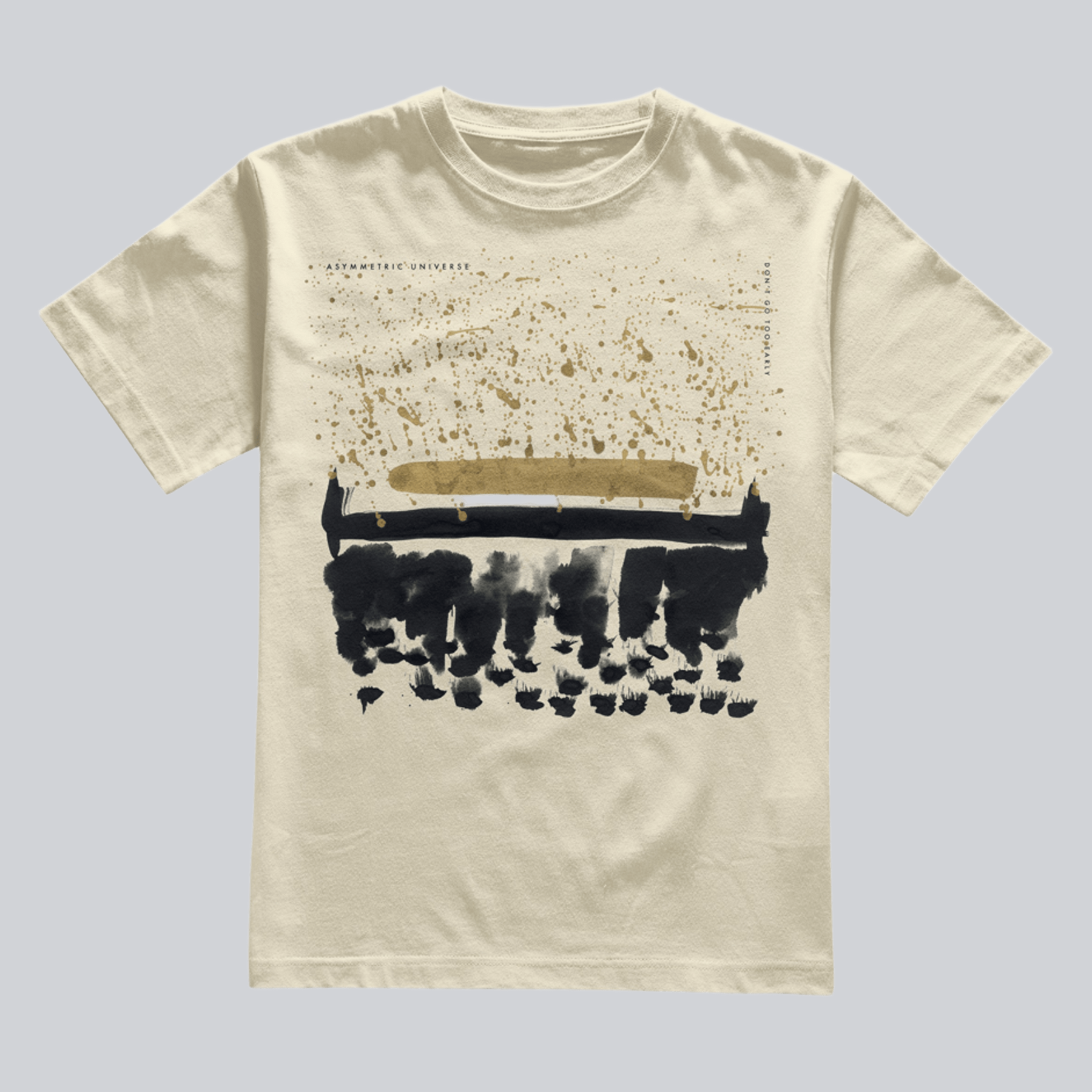 Asymmetric Universe - 